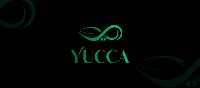 Yucca Agency