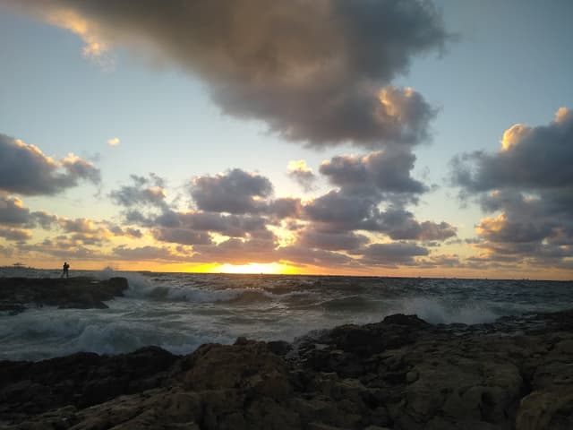 Veterinary Quarantine