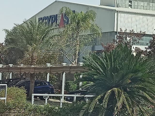 إيجي بلاست السويدي