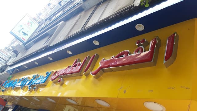 القصر الطبى