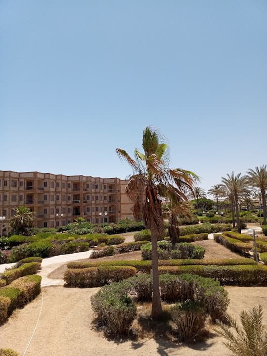 Village of Dreams north coast